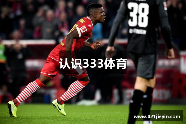 认识333体育